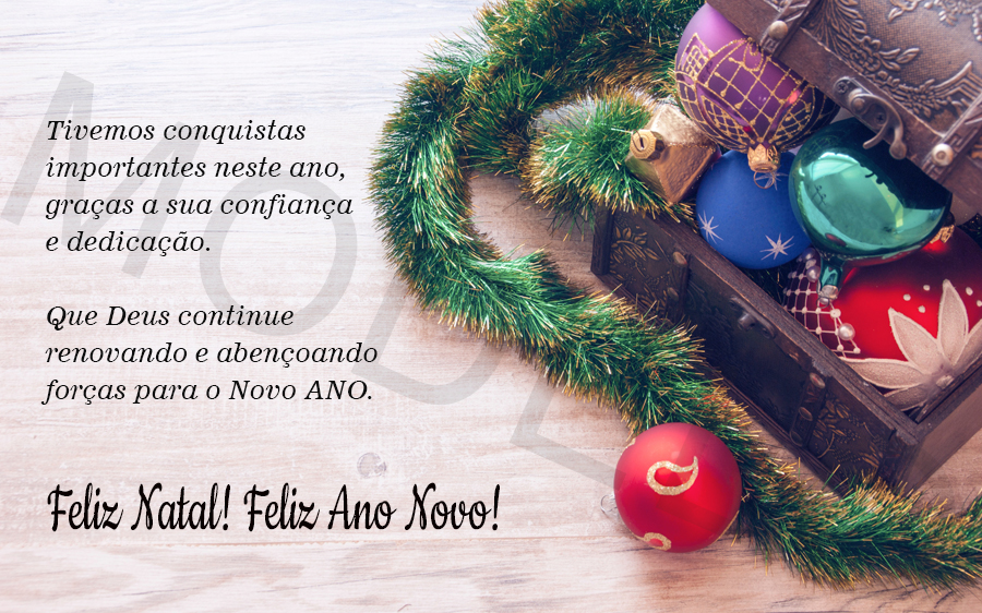 Tivemos conquistas importantes neste ano, graças a sua confiança e dedicação.

Que Deus continue renovando e abençoando forças para o Novo ANO.

Feliz Natal! feliz Ano novo!
