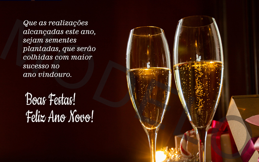 Que as realizações alcançadas este ano, sejam sementes plantadas, que serão colhidas com maior sucesso no ano vindouro.

Boas Festas!

Feliz Ano Novo!
