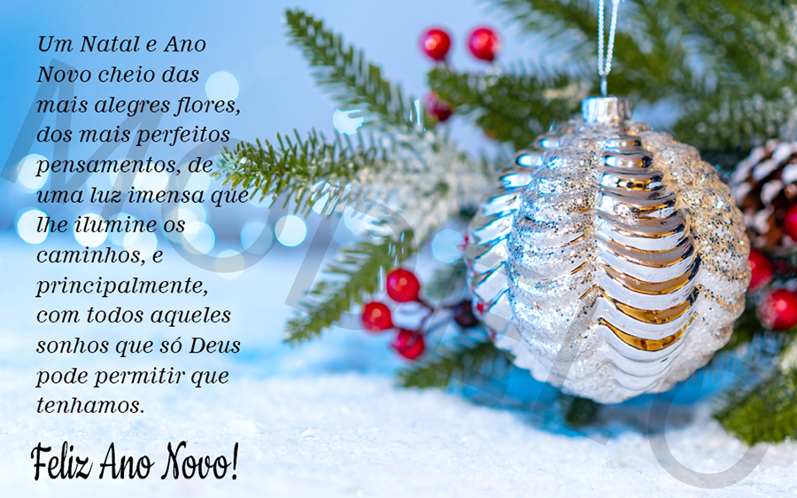 Um Natal e Ano Novo cheio das mais alegres flores, dos mais perfeitos pensamentos, de uma luz imensa que lhe ilumine os caminhos, e principalmente, com todos aqueles sonhos que só Deus pode permitir que tenhamos.

Feliz Ano Novo!
