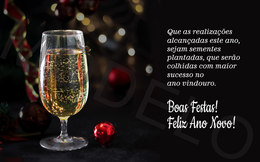 Que as realizações alcançadas este ano, sejam sementes plantadas, que serão colhidas com maior sucesso no ano vindouro.

Boas Festas!
Feliz Ano Novo!
