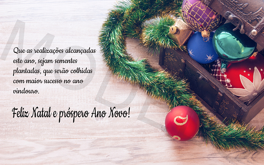 Que as realizações alcançadas este ano, sejam sementes plantadas, que serão colhidas com maior sucesso no ano vindouro.

Feliz Natal e Próspero ano Novo!
