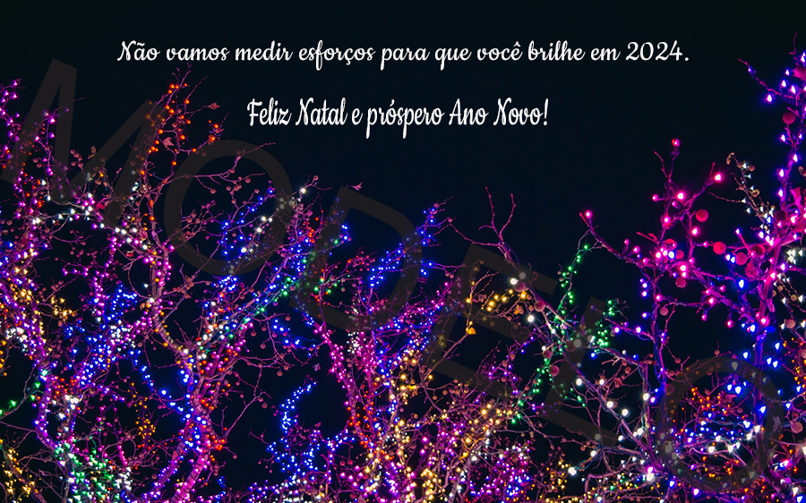 Não vamos medir esforços para que você brilhe em 2024.

Feliz Natal e Próspero Ano Novo!
