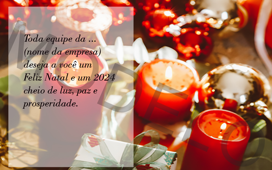 Toda equipe da ... (nome da empresa) deseja a você um Feliz Natal e um 2024 cheio de luz, paz e prosperidade.
